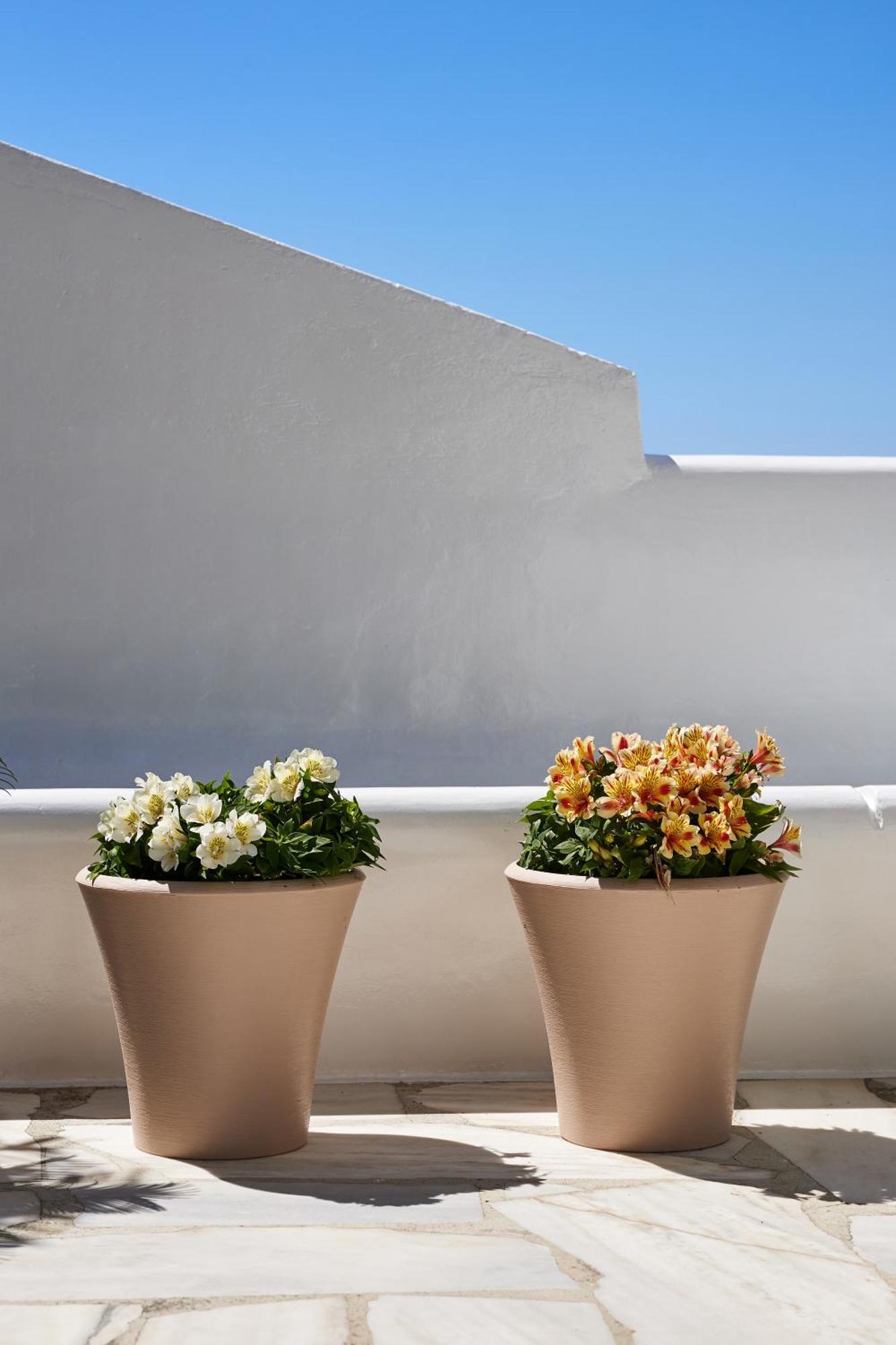 Sand Lily Villa Mykonos Mykonos Town 외부 사진